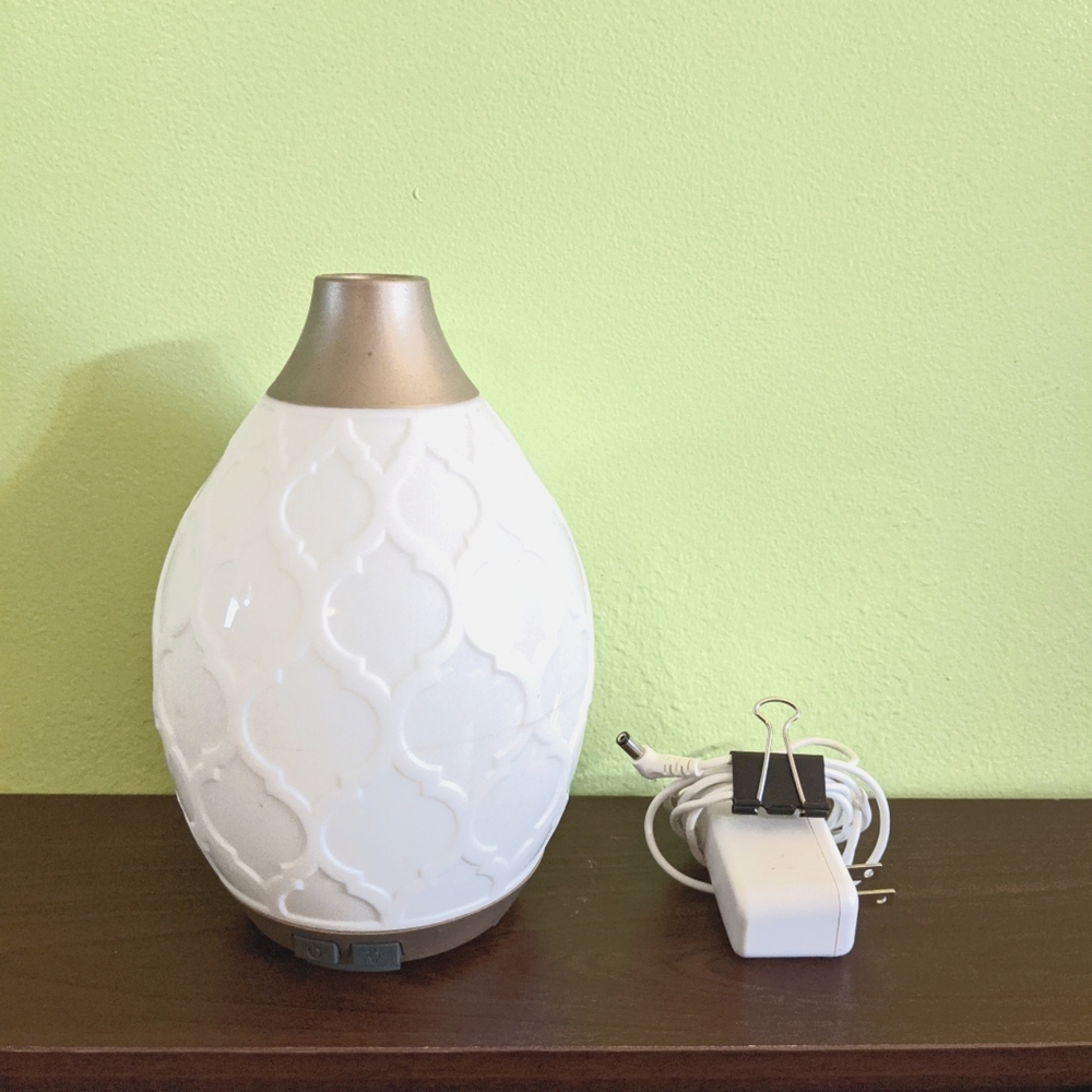 ✨Desert Mist Diffuser